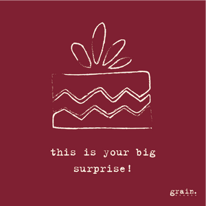 the big surprises gift card